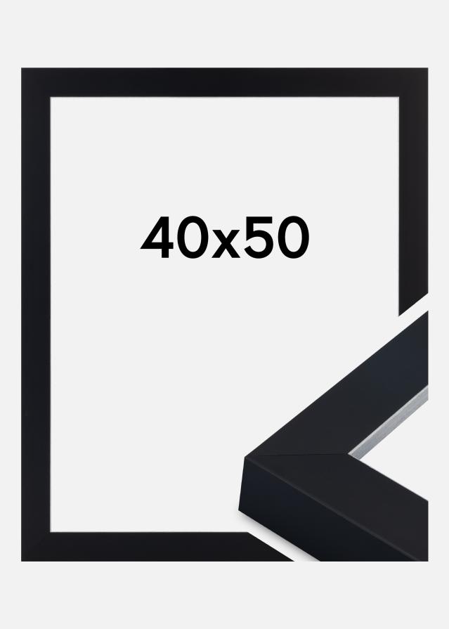 Jämtlands Ramfabrik Kader Sussex Acrylglas Zwart/Zilver 40x50 cm