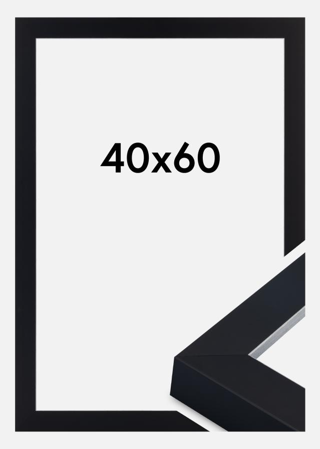 Jämtlands Ramfabrik Kader Sussex Acrylglas Zwart/Zilver 40x60 cm