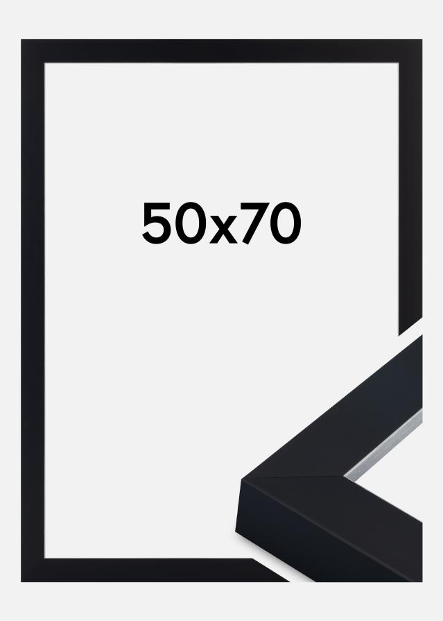 Jämtlands Ramfabrik Kader Sussex Acrylglas Zwart/Zilver 50x70 cm