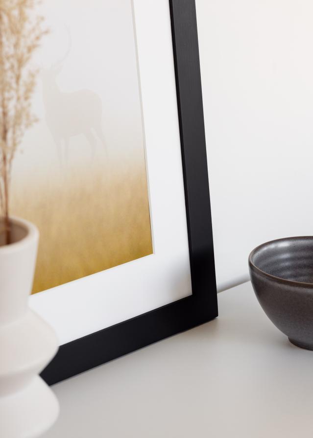 BGA BGA Select Wide Acrylglas Zwart 40x60 cm