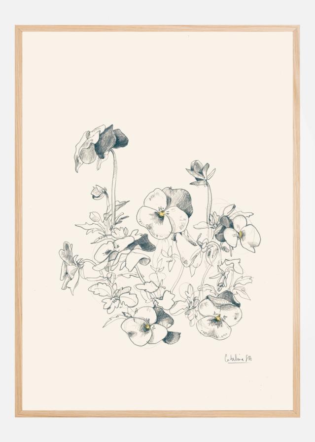 Bildverkstad Pansies pencil drawing Poster