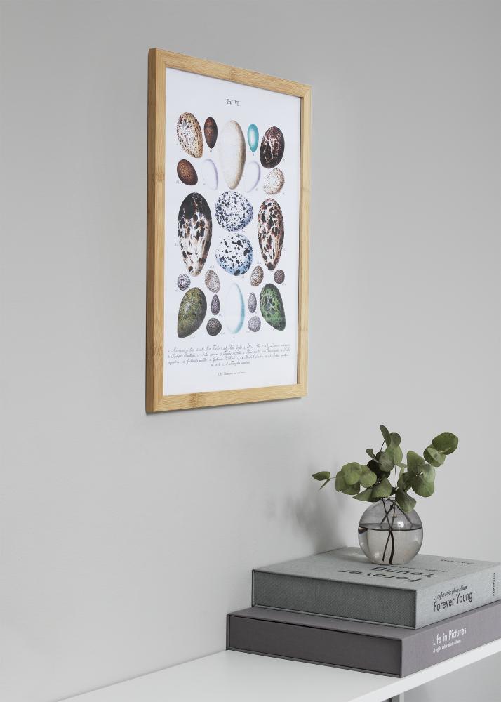 Ram med passepartou Fotokader Hoei Bamboe 50x70 cm - Passe-partout Wit 40x60 cm