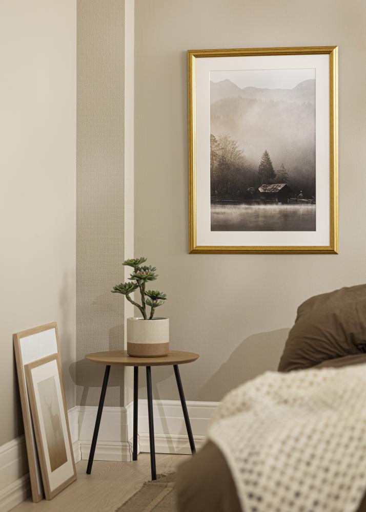 Jämtlands Ramfabrik Kader Västkusten Acrylglas Goud 10x20 inches (25,4x50,8 cm)