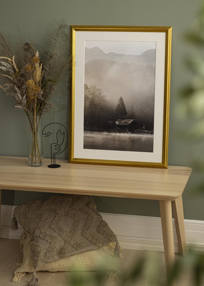 Jämtlands Ramfabrik Kader Västkusten Acrylglas Goud 10x20 inches (25,4x50,8 cm)