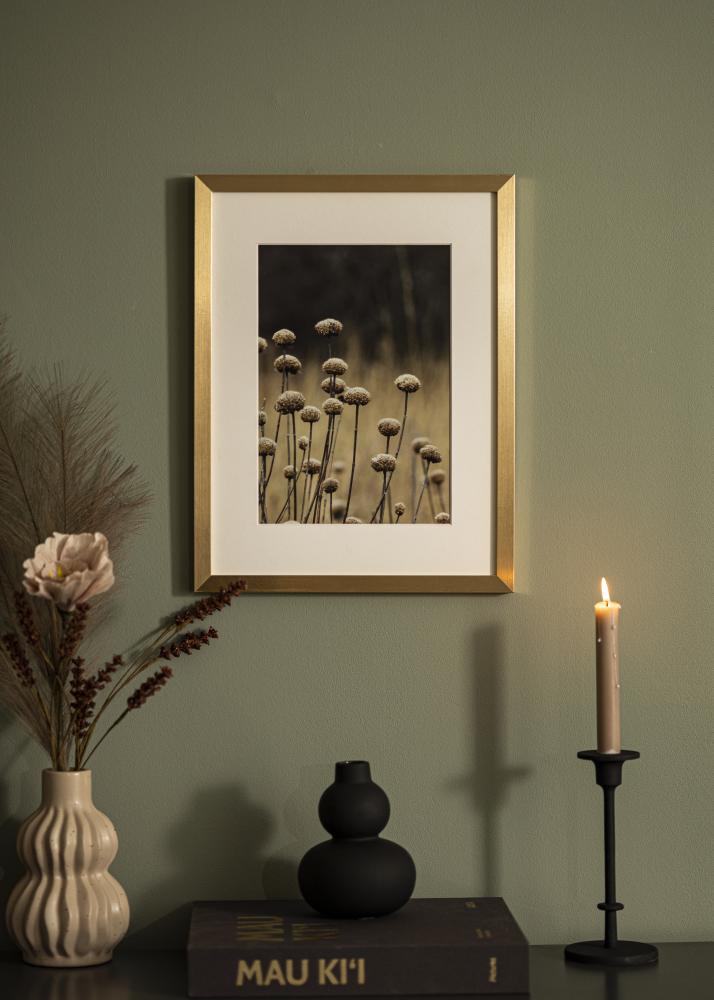 Jämtlands Ramfabrik Kader Selection Acrylglas Goud 40x100 cm