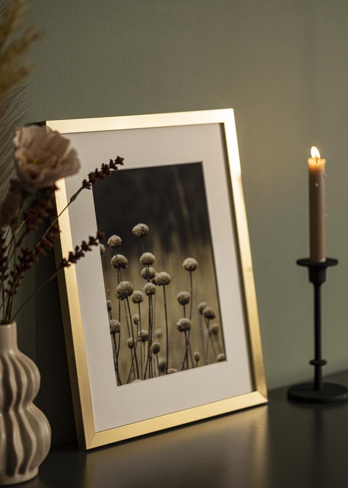 Jämtlands Ramfabrik Kader Selection Acrylglas Goud 40x100 cm