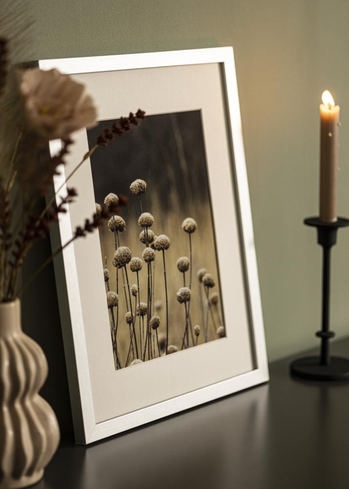 Jämtlands Ramfabrik Kader Selection Acrylglas Zilver 15x21 cm (A5)