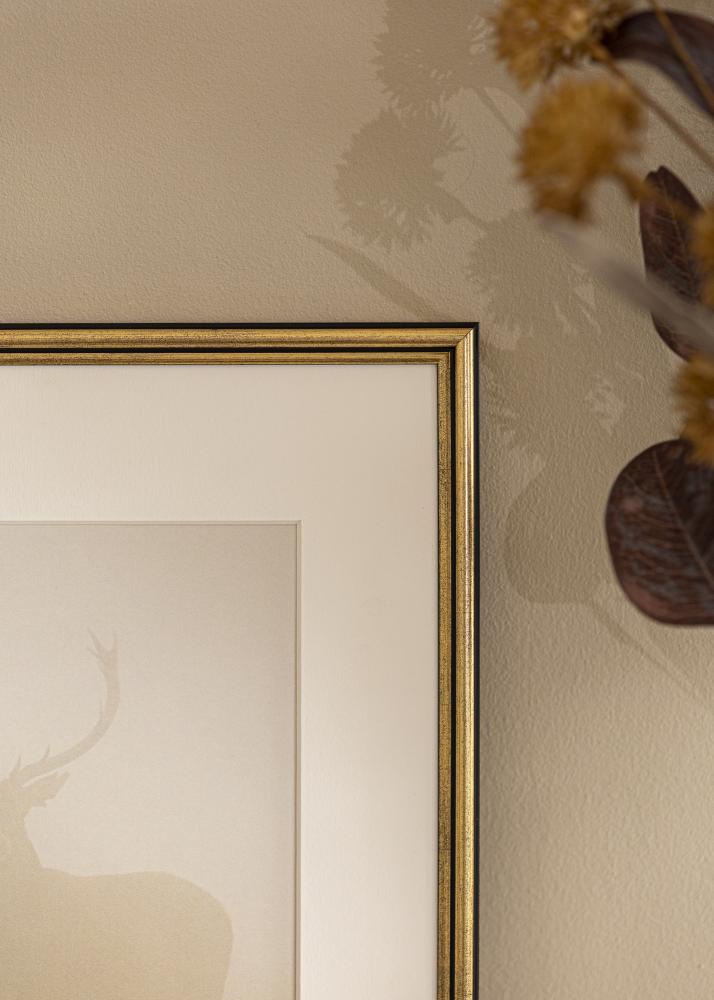 Galleri 1 Kader Horndal Acrylglas Goud 7x10 cm