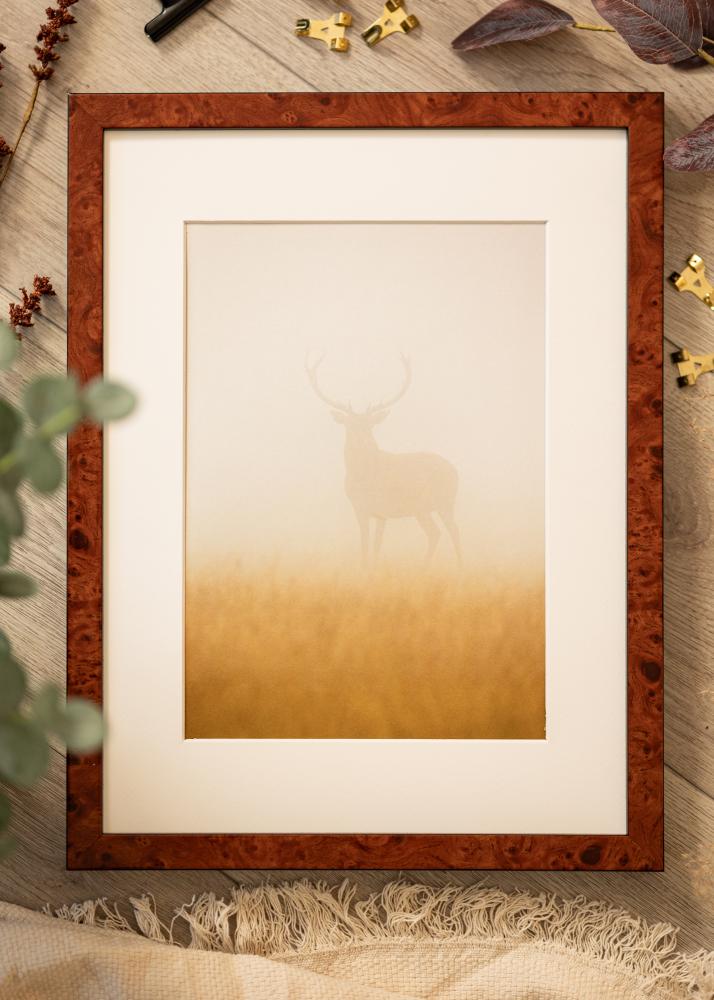 Ram med passepartou Fotokader Hermes Okkernoot 60x80 cm - Passe-partout Wit 20x28 inches