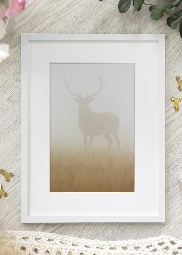 BGA Kader Trendy Acrylglas Wit 30x30 cm