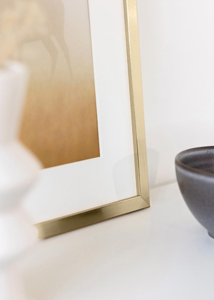 BGA Kader Trendy Acrylglas Goud 35x50 cm