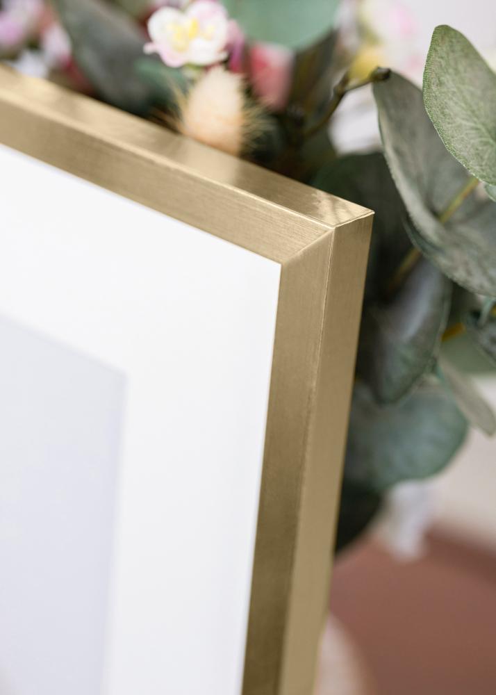 BGA Kader Trendy Acrylglas Goud 35x50 cm