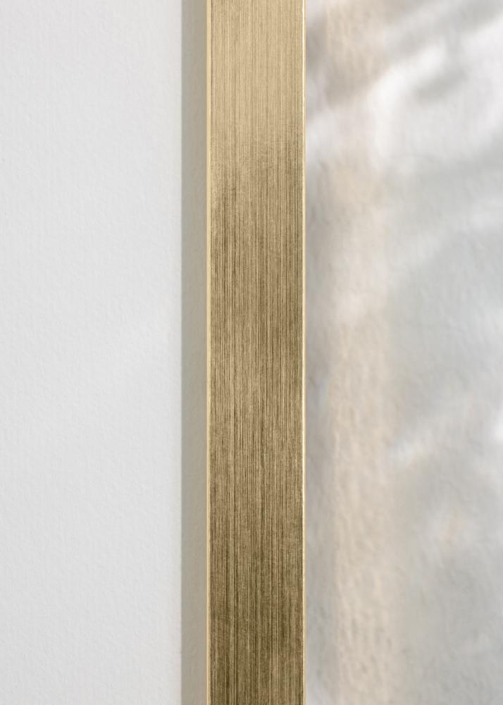 BGA Kader Trendy Acrylglas Goud 35x50 cm