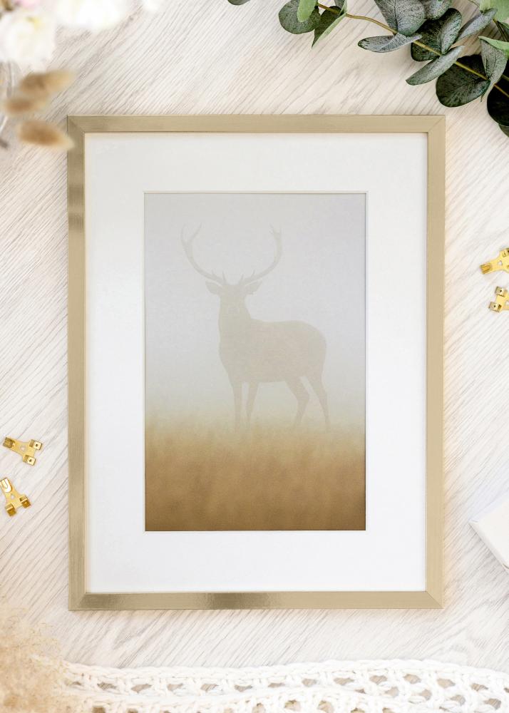 BGA Kader Trendy Acrylglas Goud 35x50 cm