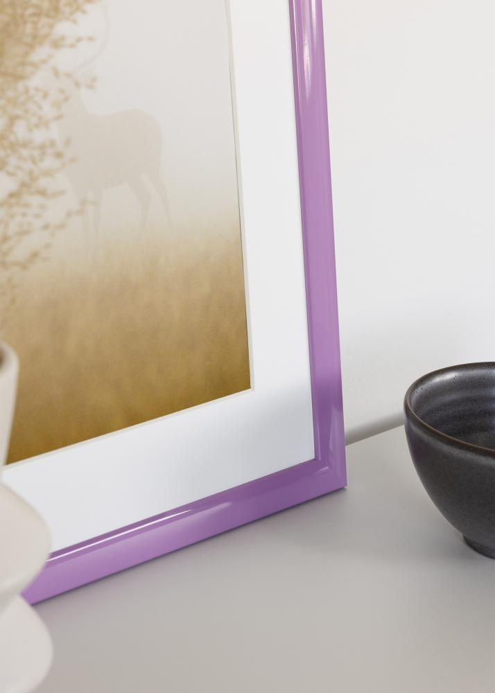 Jämtlands Ramfabrik Kader Dorset Acrylglas Roze 30x45 cm