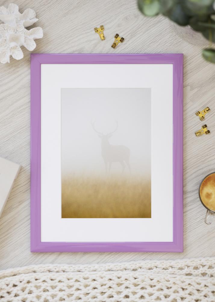 Jämtlands Ramfabrik Kader Dorset Acrylglas Roze 30x45 cm