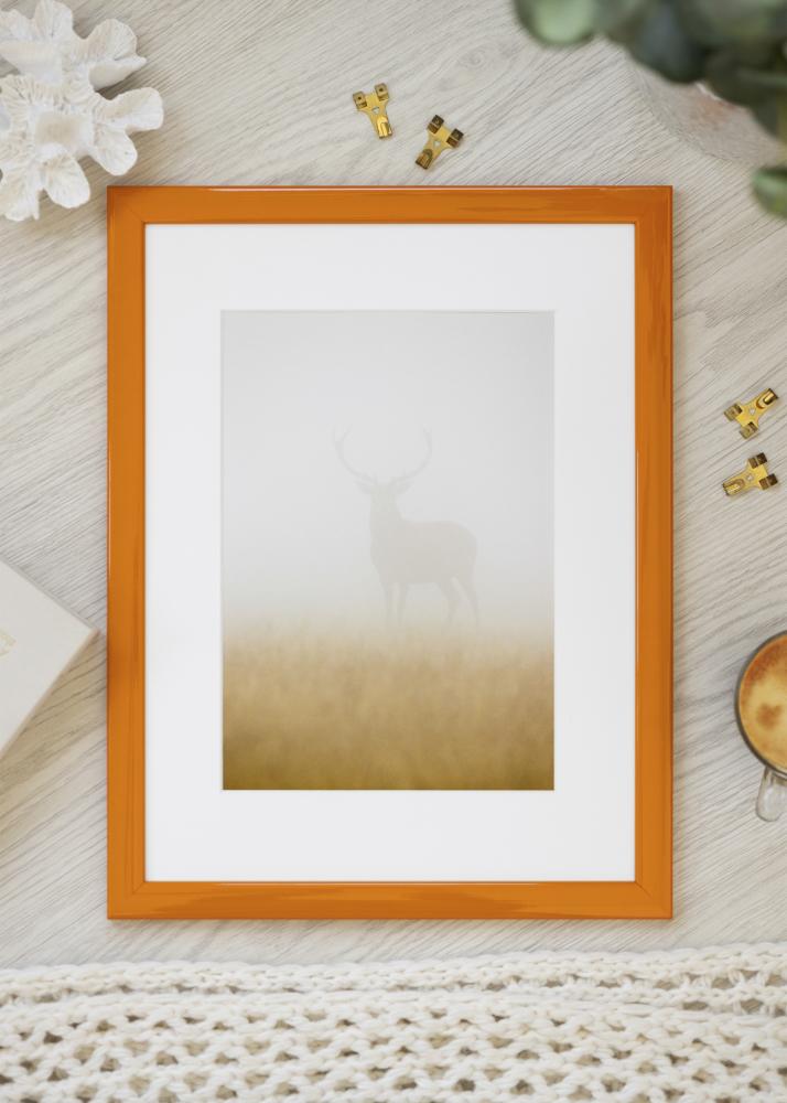 Jämtlands Ramfabrik Kader Dorset Acrylglas Oranje 30x45 cm