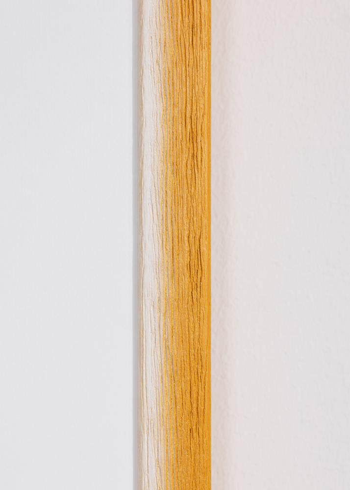 Jämtlands Ramfabrik Kader Cornwall Acrylglas Goud 30x40 cm