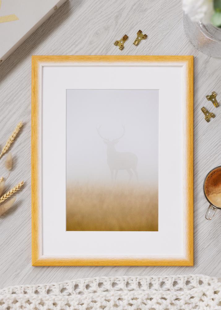 Jämtlands Ramfabrik Kader Cornwall Acrylglas Goud 30x40 cm