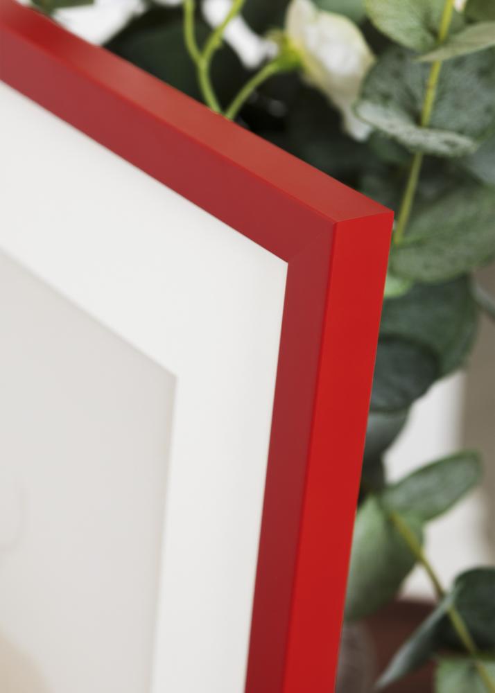 Jämtlands Ramfabrik Kader Kent Acrylglas Rood 60x80 cm