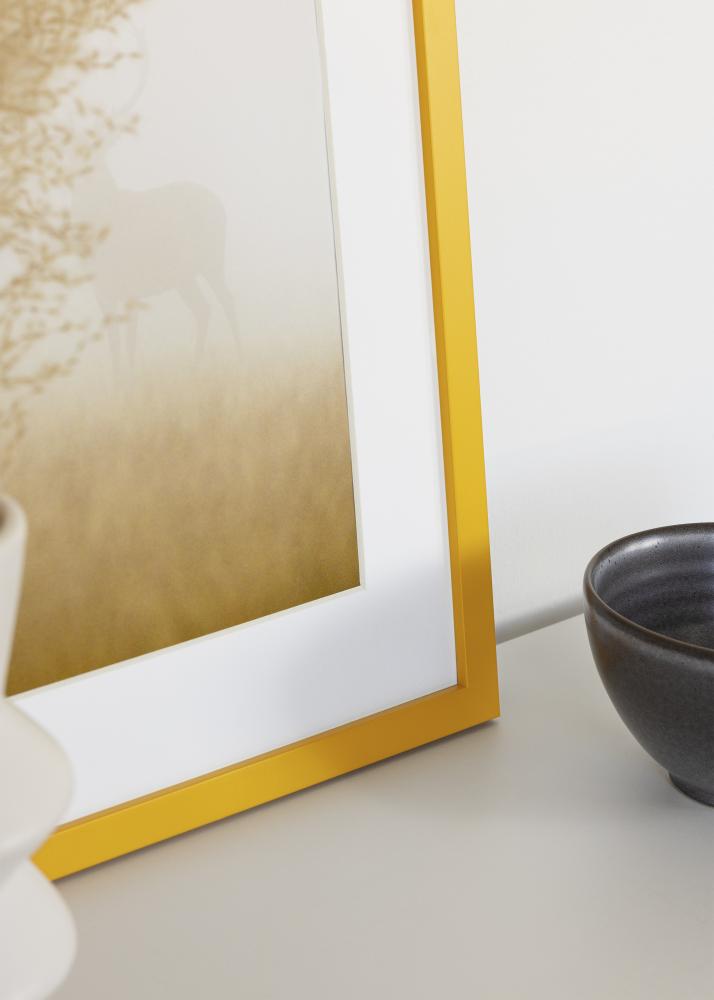 Jämtlands Ramfabrik Kader Kent Acrylglas Goud 21x29,7 cm (A4)
