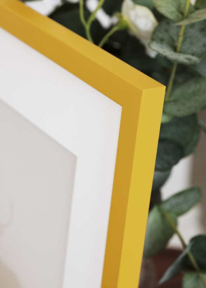 Jämtlands Ramfabrik Kader Kent Acrylglas Goud 21x29,7 cm (A4)