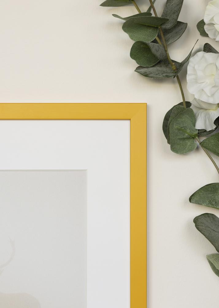 Jämtlands Ramfabrik Kader Kent Acrylglas Goud 21x29,7 cm (A4)