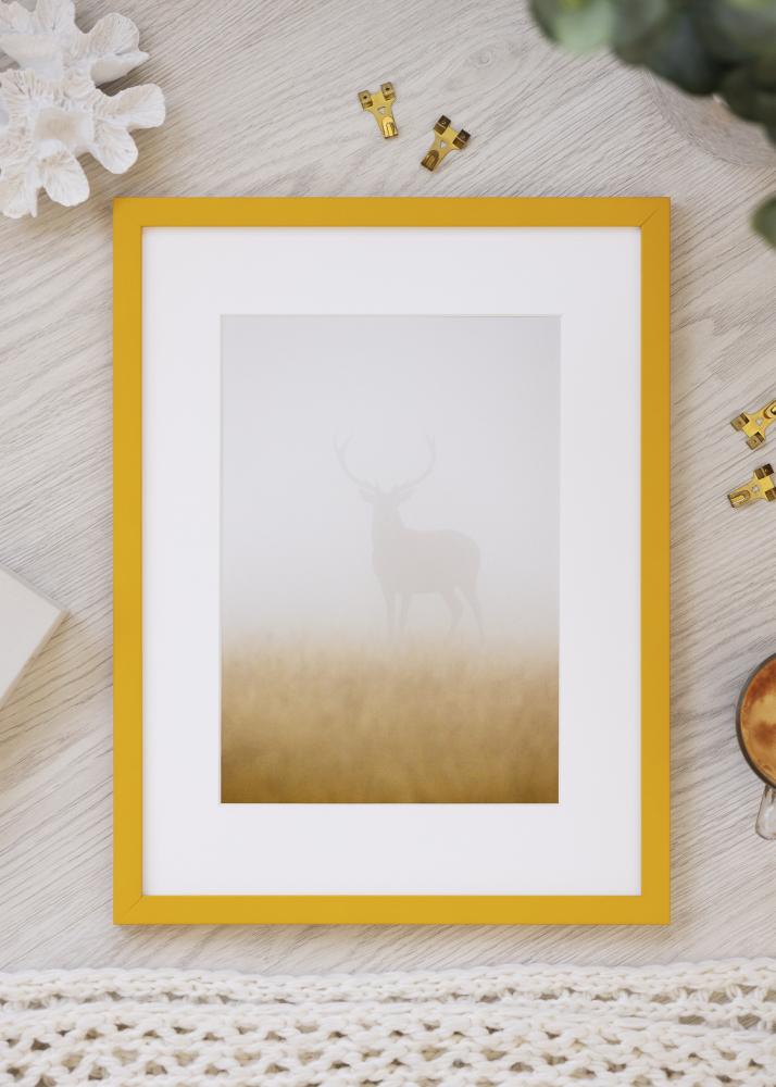 Jämtlands Ramfabrik Kader Kent Acrylglas Goud 21x29,7 cm (A4)