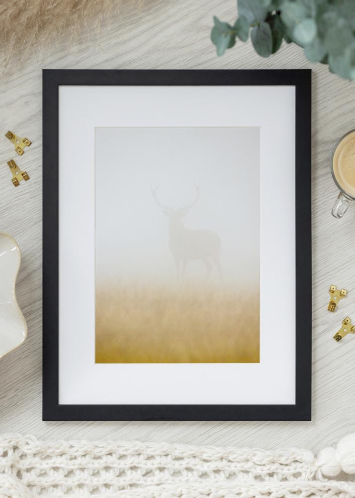 Jämtlands Ramfabrik Fotolijst Jämtland Acrylglas Zwart 25x26 cm