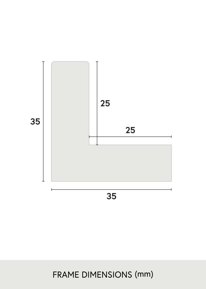 Jämtlands Ramfabrik Kader Sussex Acrylglas Zwart/Zilver 30x30 cm