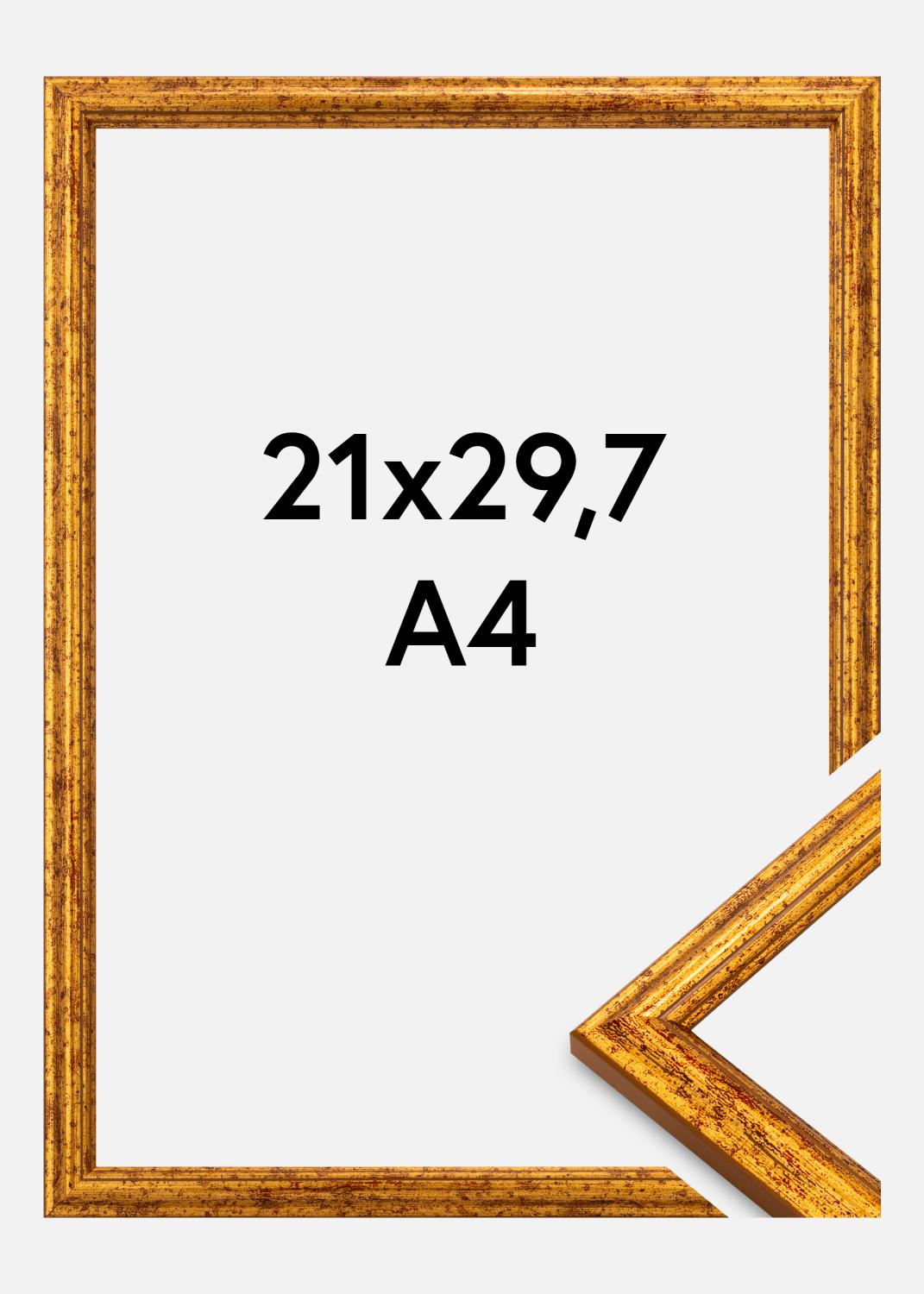 Product Image for Kader Claudia Acrylglas Goud 21x29,7 cm (A4)