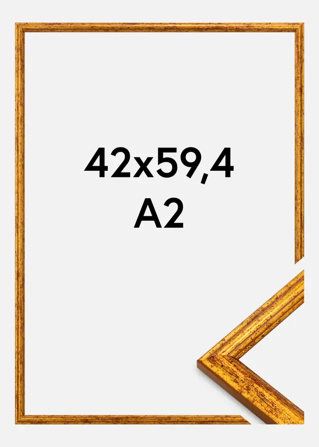 Jämtlands Ramfabrik Kader Claudia Acrylglas Goud 42x59,4 cm (A2)