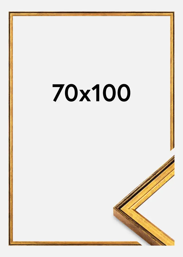 Jämtlands Ramfabrik Kader Ringa Acrylglas Goud 70x100 cm