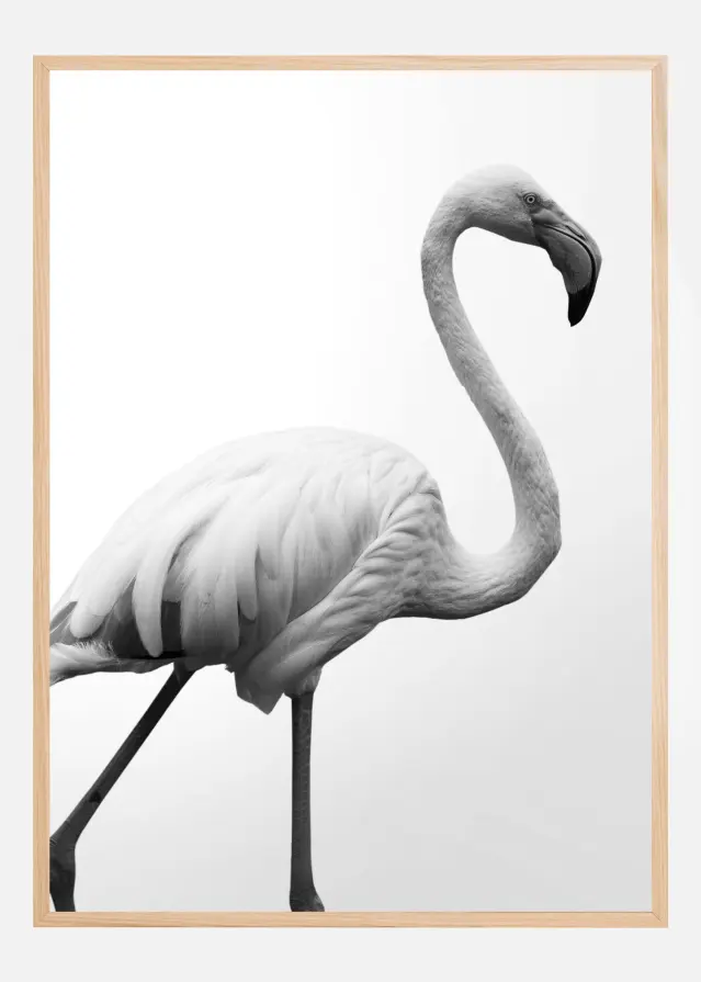 Bildverkstad Dancer Poster