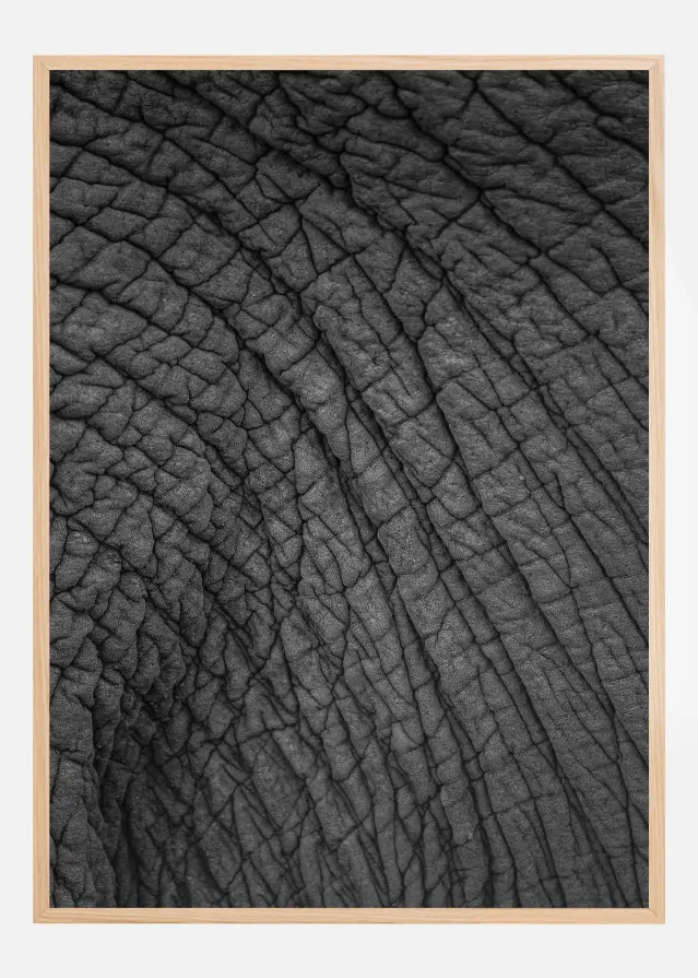 Bildverkstad Olifant 03 Poster