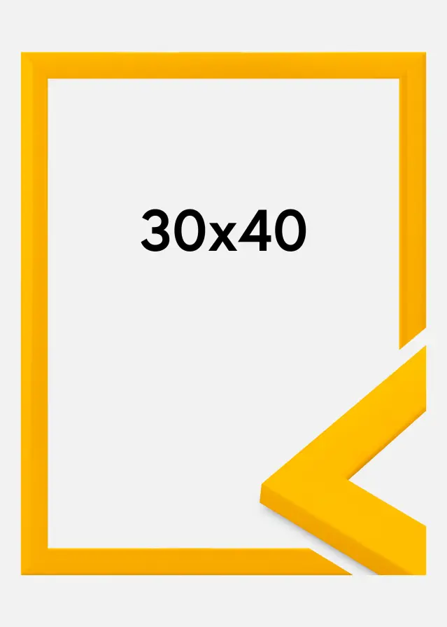 Jämtlands Ramfabrik Kader Dorset Acrylglas Goud 30x40 cm