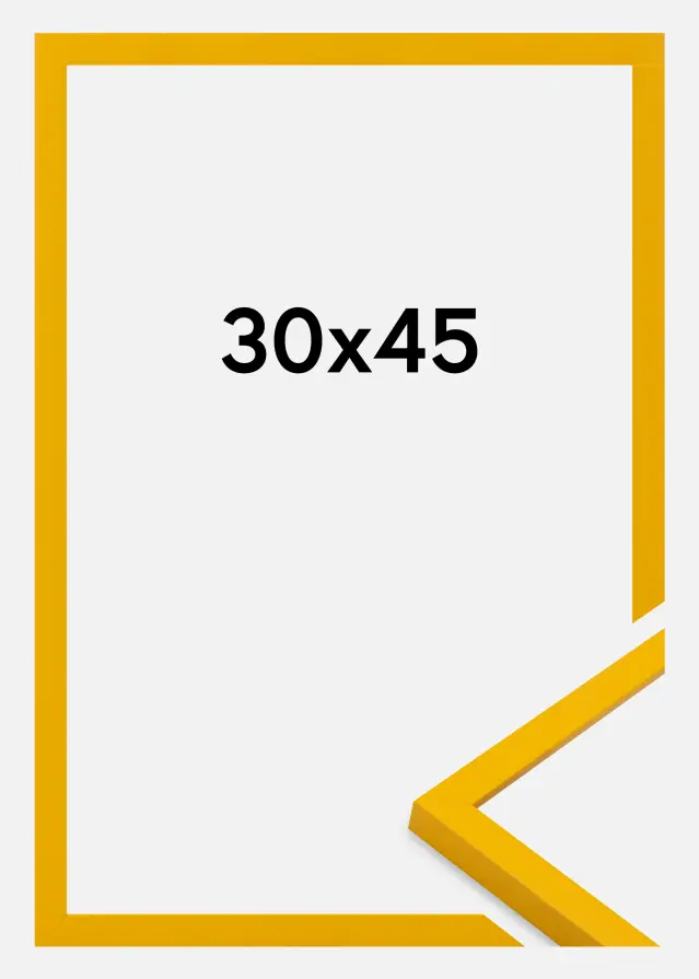 Jämtlands Ramfabrik Kader Kent Acrylglas Goud 30x45 cm