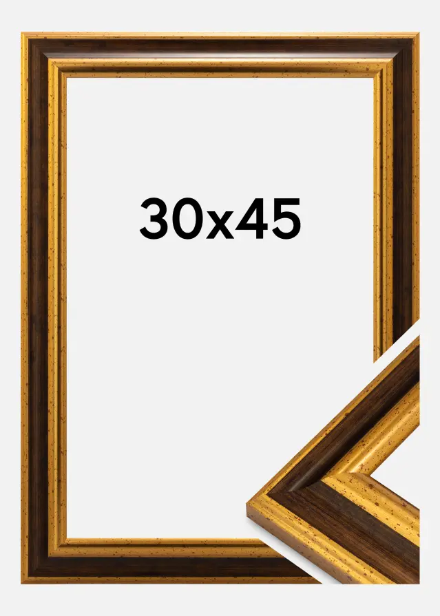 Jämtlands Ramfabrik Kader Aberystwyth Acrylglas Goud 30x45 cm