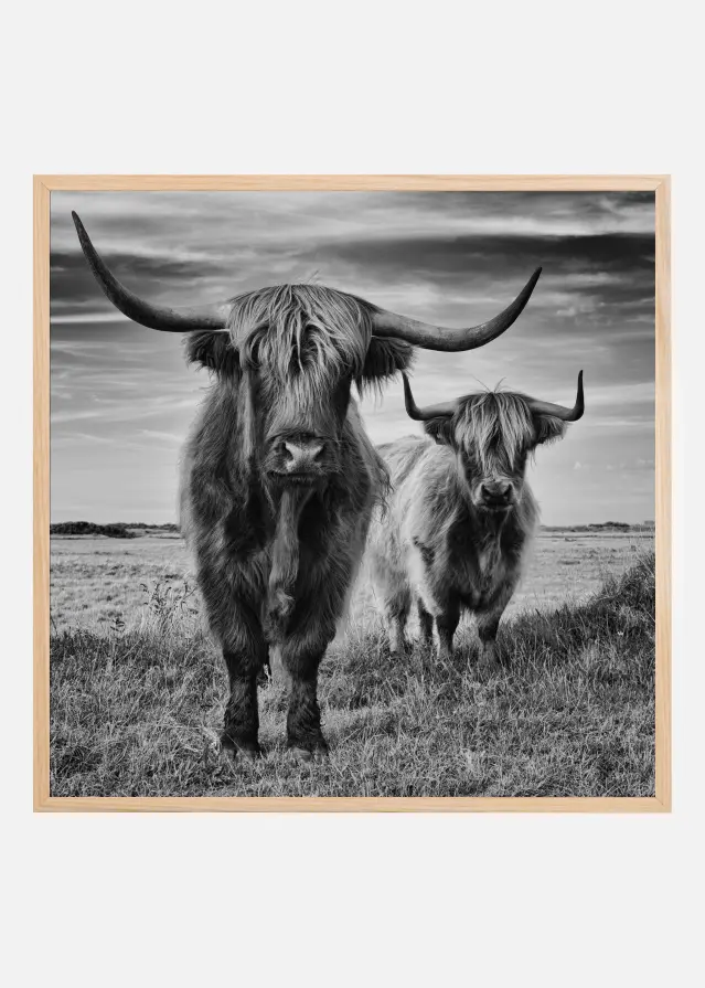 Bildverkstad Highlands Poster