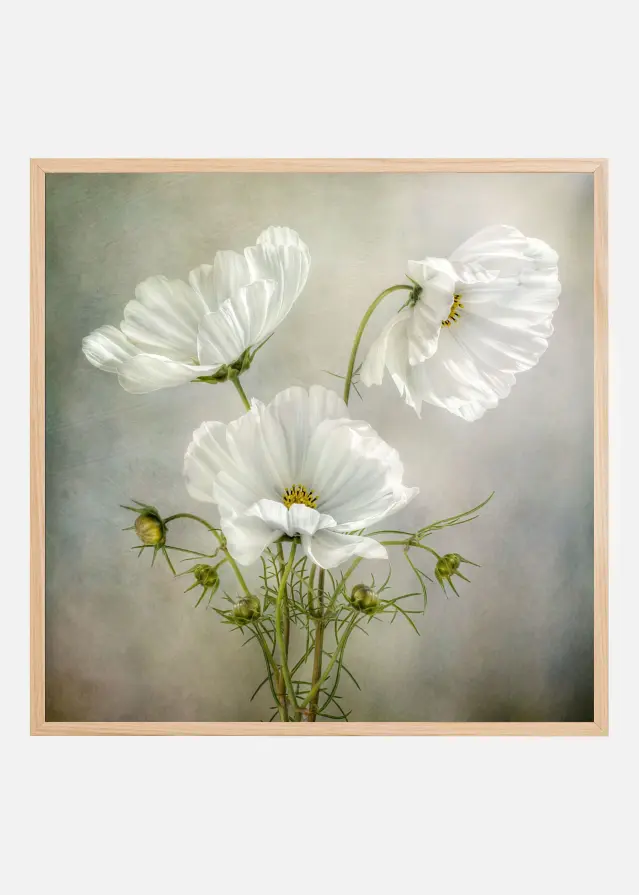 Bildverkstad Cosmos Charm Poster