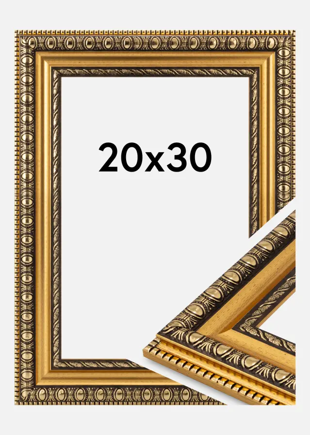 Jämtlands Ramfabrik Kader Ornato Acrylglas Goud 20x30 cm