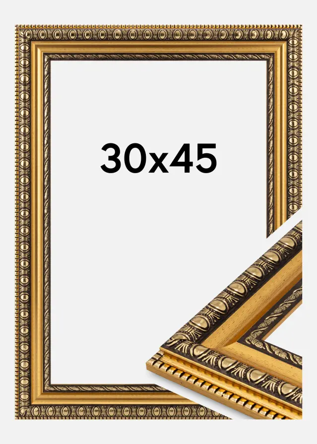 Jämtlands Ramfabrik Kader Ornato Acrylglas Goud 30x45 cm
