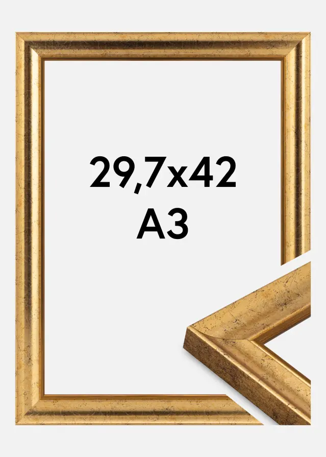Jämtlands Ramfabrik Kader Conca Acrylglas Goud 29,7x42 cm (A3)