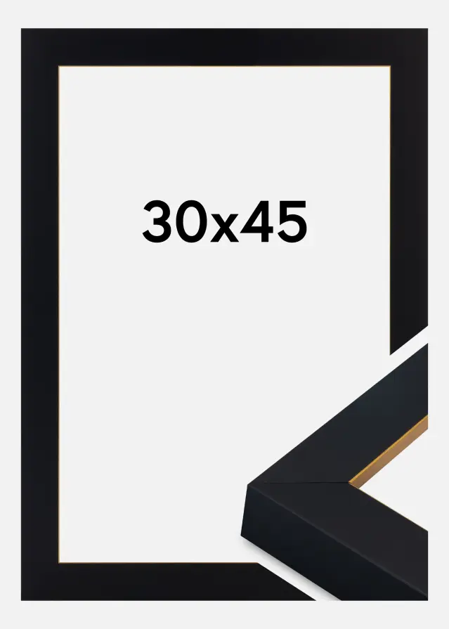 Jämtlands Ramfabrik Kader Sussex Acrylglas Zwart/Goud 30x45 cm