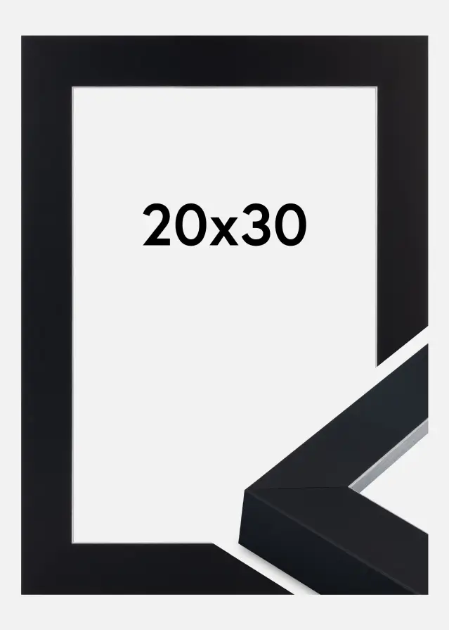 Jämtlands Ramfabrik Kader Sussex Acrylglas Zwart/Zilver 20x30 cm