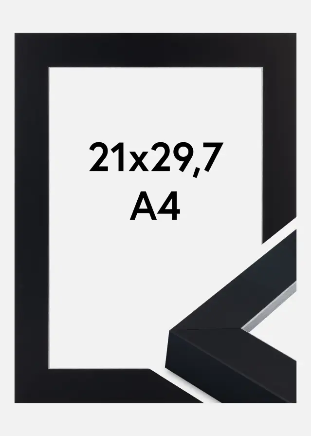 Jämtlands Ramfabrik Kader Sussex Acrylglas Zwart/Zilver 21x29,7 cm (A4)