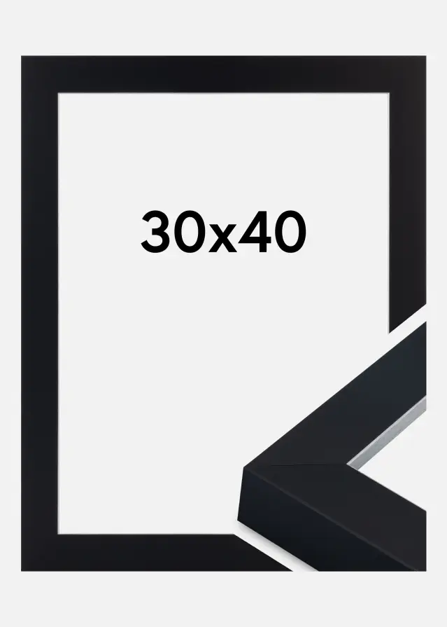 Jämtlands Ramfabrik Kader Sussex Acrylglas Zwart/Zilver 30x40 cm