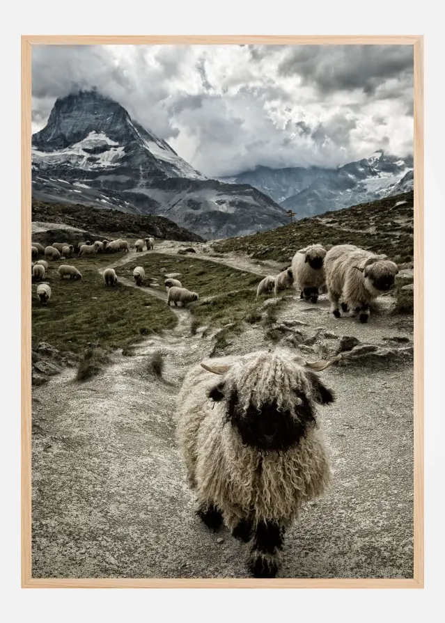 Bildverkstad Out of my way Poster