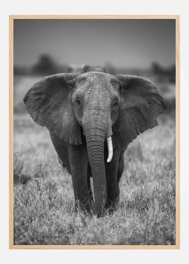 Bildverkstad SINGULARITY Poster