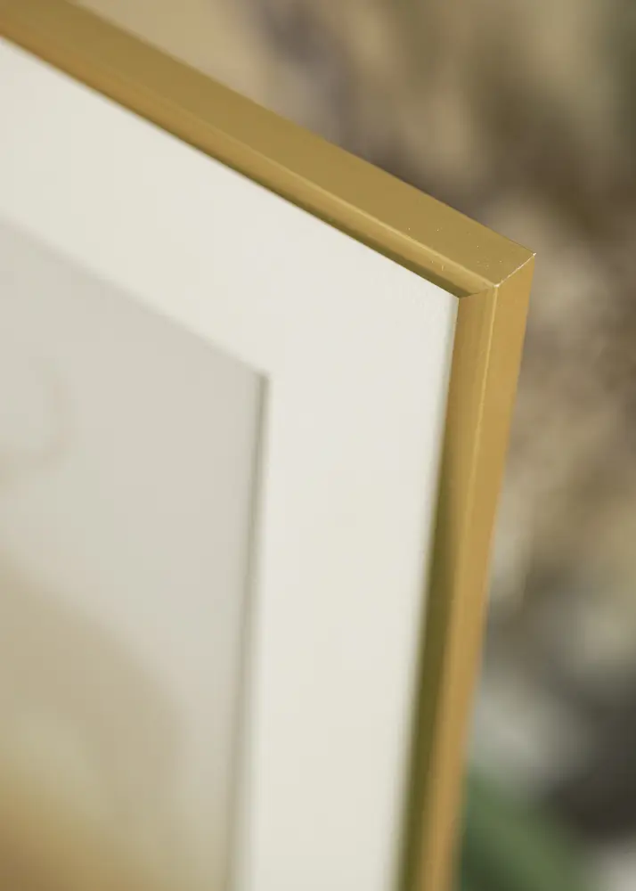 Ram med passepartou Fotokader New Lifestyle Gold 60x90 cm - Passe-partout Wit 40x70 cm